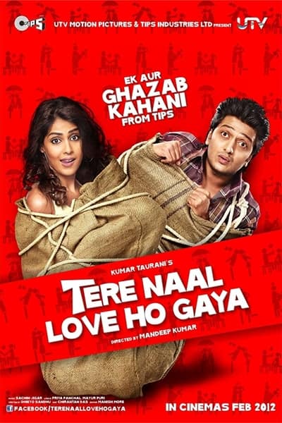 Download Tere Naal Love Ho Gaya (2012) Hindi Movie 480p | 720p | 1080p WEB-DL 350MB | 1GB