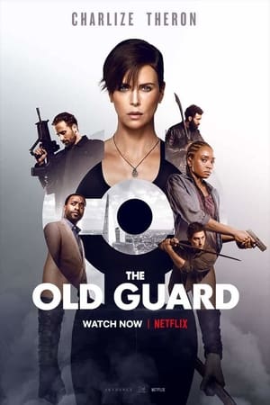 Download The Old Guard (2020) Dual Audio {Hindi-English} Movie 480p | 720p | 1080p WEB-DL 400MB | 1GB