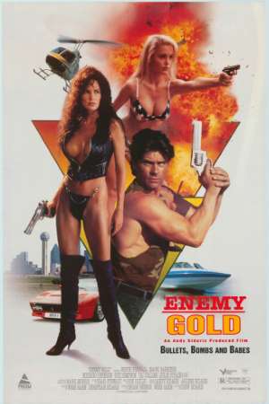 Download Enemy Gold (1993) UNRATED Dual Audio {Hindi-English} Movie 480p | 720p BluRay 300MB | 900MB