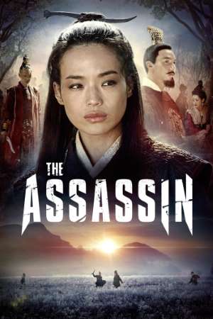 Download The Assassin (2015) UNCUT Dual Audio {Hindi-Chinese} Movie 480p | 720p | 1080p BluRay 350MB | 1GB