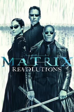 Download The Matrix Revolutions (2003) Dual Audio {Hindi-English} Movie 480p | 720p | 1080p BluRay ESub