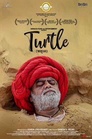Download Turtle (2018) Hindi Movie 480p | 720p | 1080p WEB-DL ESub