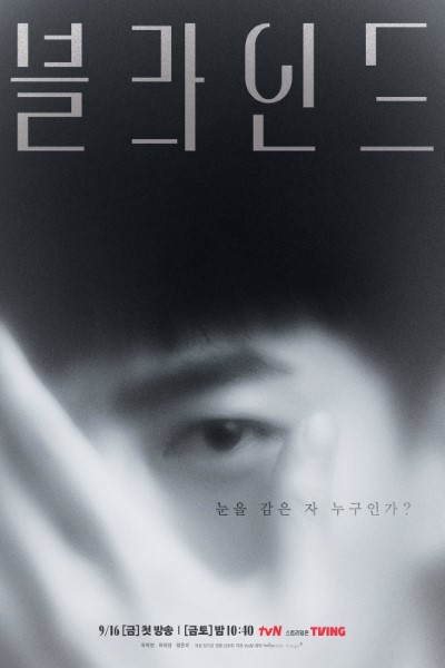 Download Kdrama Blind (Season 1) Korean Web Series 720p | 1080p WEB-DL Esub