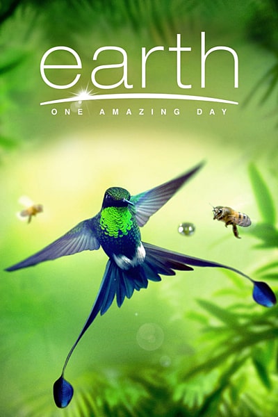 Download Earth: One Amazing Day (2017) Dual Audio {Hindi-English} Movie 480p | 720p | 1080p BluRay ESub