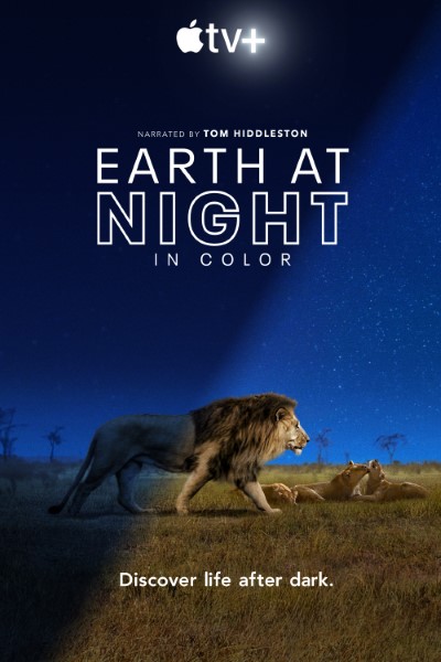 Download Earth at Night in Color (Season 01-02) Dual Audio {Hindi-English} Web Series 720p | 1080p WEB-DL ESub