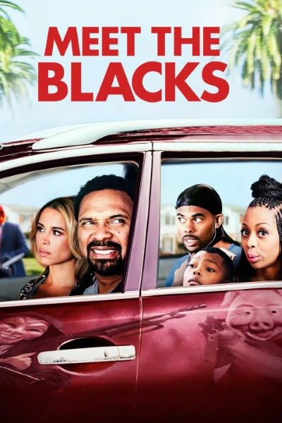 Download Meet the Blacks (2016) Dual Audio [Hindi-English] Movie 480p | 720p | 1080p BluRay ESub